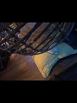 Pokazy przed kamerką – Twist_N_Tease