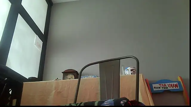 SexWorkerX Webcam-Show