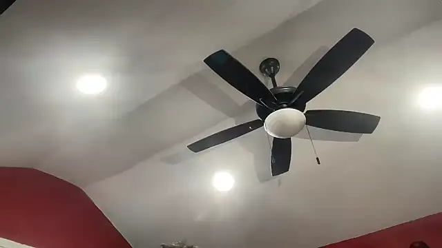 bossdj2025's Webcam Show