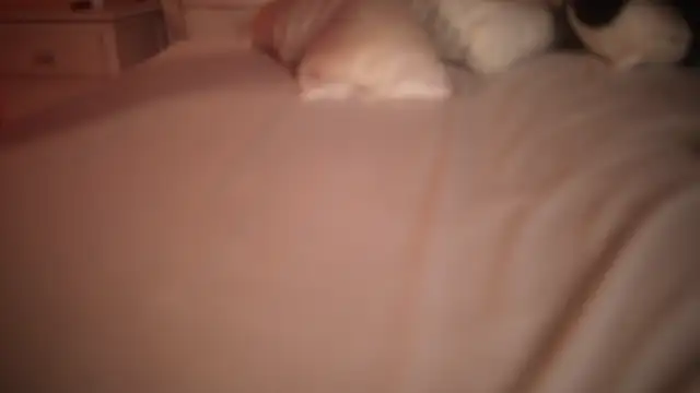 Chat XXX ao vivo de suzysuza
