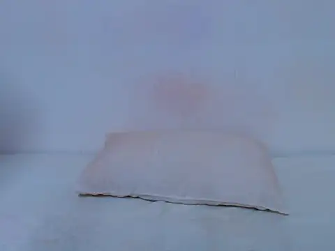 HONEYxPOT's Live XXX Chat