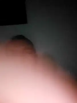 Show webcam de rysoru