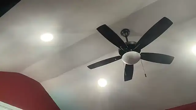 bossdj2025's Webcam Show