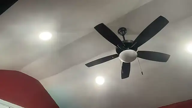 bossdj2025's Webcam Show