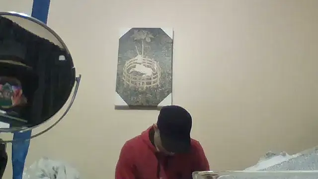 hailzeffn's Webcam Show