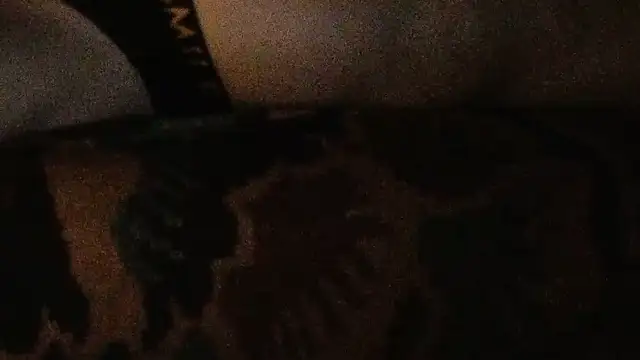 cumloverboyxx69 ওয়েবক্যাম শ ো