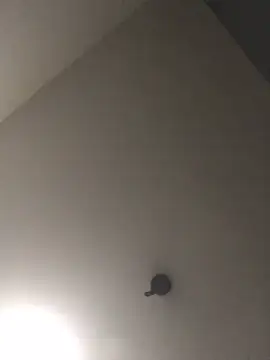 Sexyheelskev Show Webcam