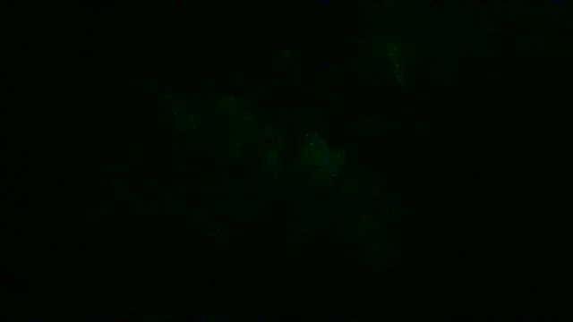 _P3RKY_IMMORTAL3_FIR3_ Chat XXX in diretta