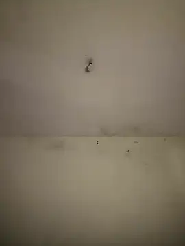 Chat ao vivo de arabayla
