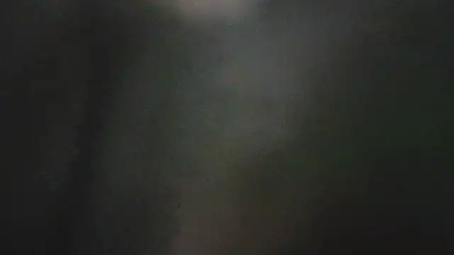 diosagolden 웹캠 쇼