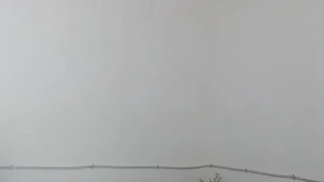 DominnantTransqueen 现场XXX聊天