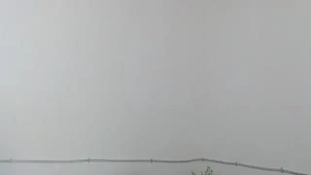 Chat +18 de DominnantTransqueen ao vivo