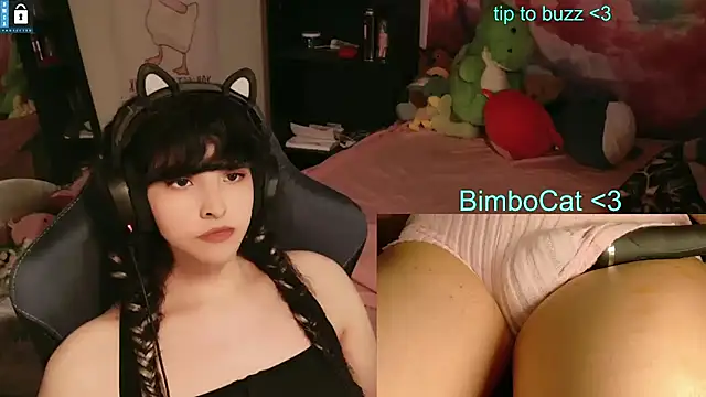 BimboCat Show in webcam