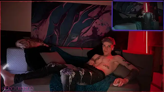 Show de webcam de davesinner