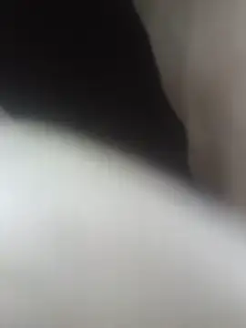 gsew Live XXX-Chat