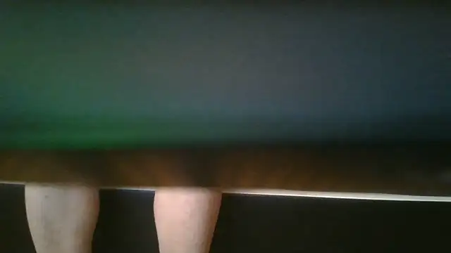 SchwanzlochStuten Webbikameraesitys