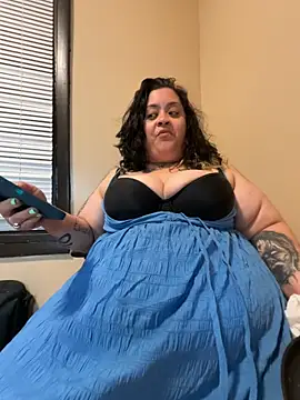 Show Webcam de Tillymarie