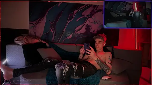 Show de webcam de davesinner