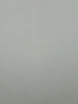 gsew élő XXX-chatje