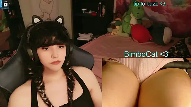BimboCat's Webcam Show