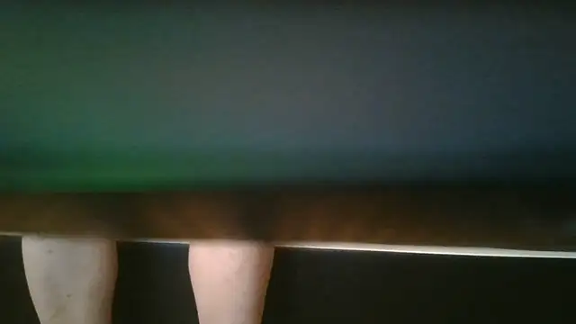 SchwanzlochStute Pertunjukan Webcam