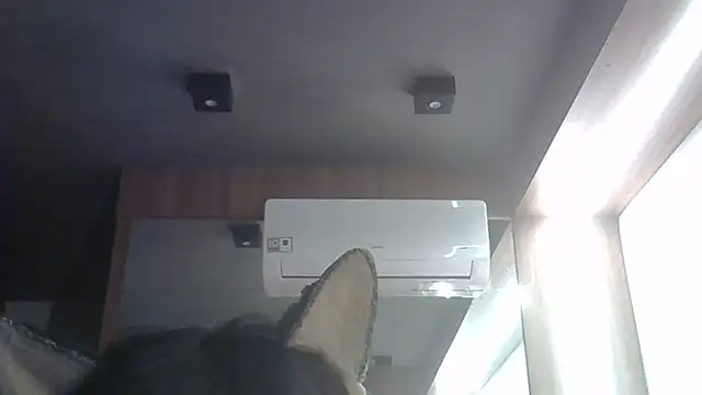 Show de webcam de SkinnyKitten