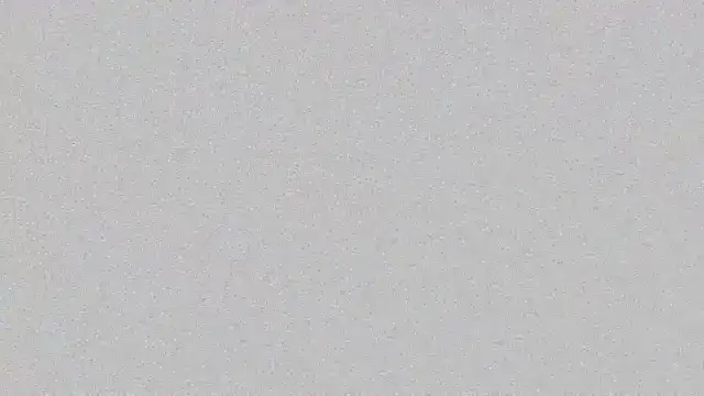 bigclit 即時 XXX 聊天