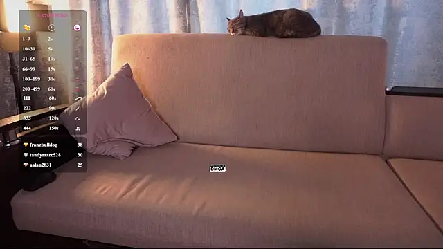 Hoot_owl_cb Show Webcam