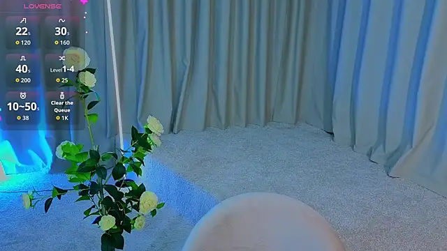Hotary_Yukoのウェブカメラショー