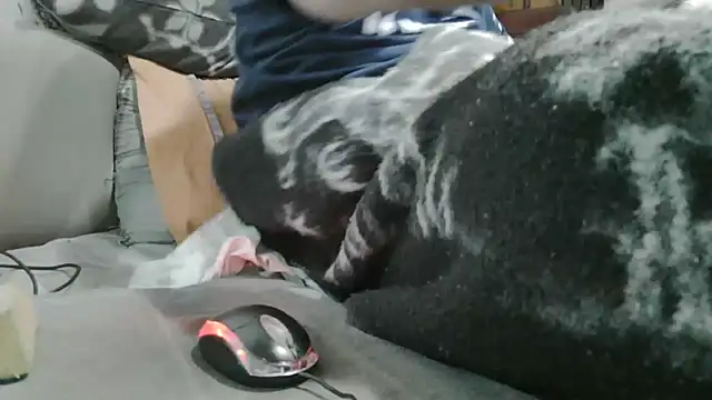 messi_syssy Show Webcam