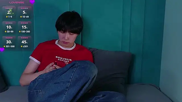 HeejinWang Webcam Show