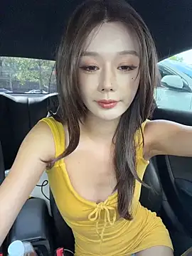 BBi-0329 Show Webcam