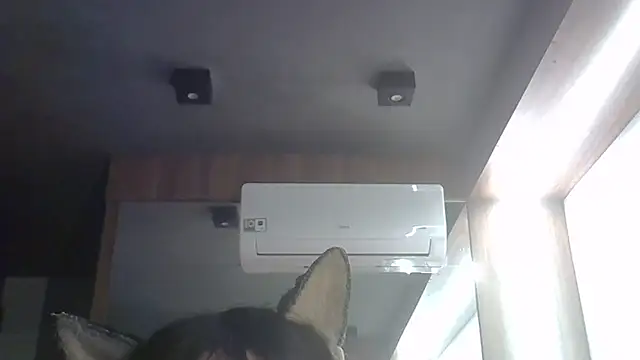 Show de webcam de SkinnyKitten