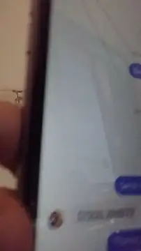 Chat +18 de Sophrob96x ao vivo