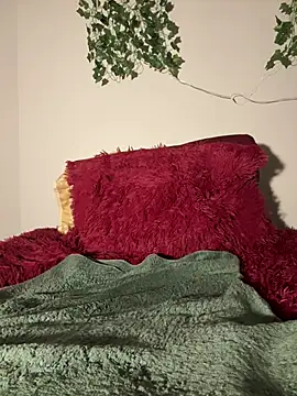 lovelytip's Webcam Show
