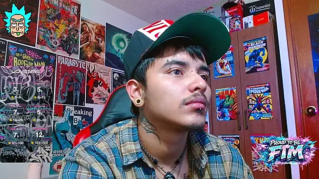 Show webcam de Hgp3riodictabl3