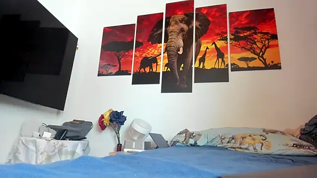roku73Gay Show Webcam