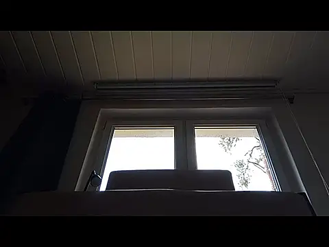 Rainfish Live XXX-Chat