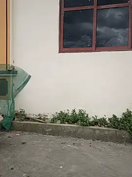 Hoa-tuylip Show in webcam