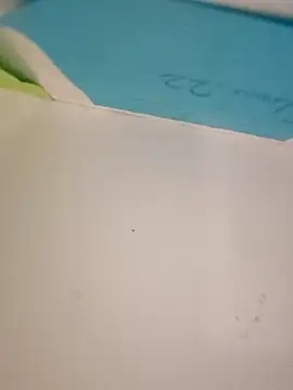 عرض كام TommyMomentum