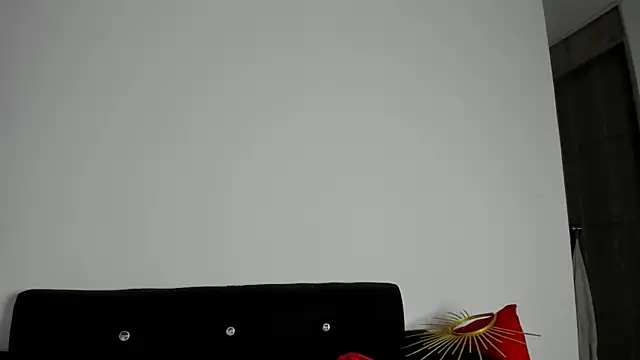 Webkamerová show Onion_knight