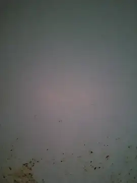 123wcnmlgb123 웹캠 쇼