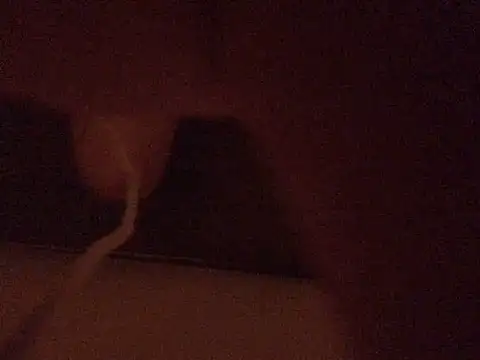 omonakaのライブXXXチャット