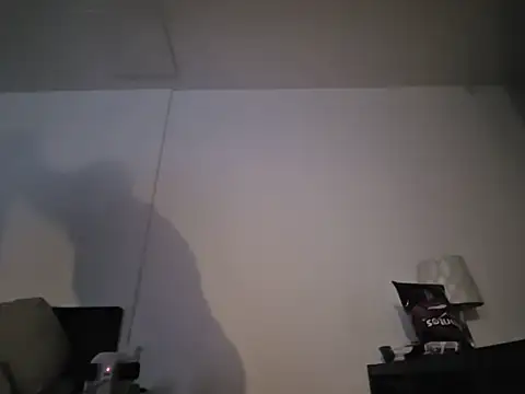 Wherezdaddyn Webbikameraesitys