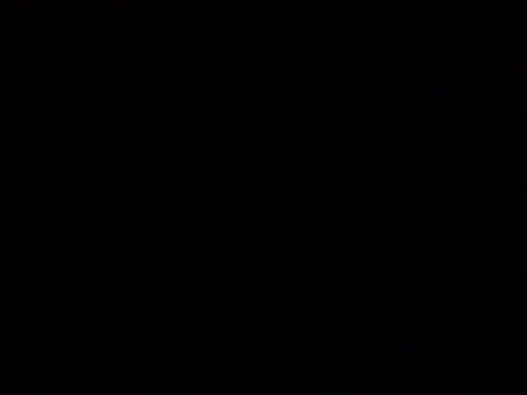 P_K_33 웹캠 쇼