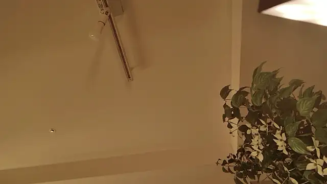 japanesequeen Live XXX Chat