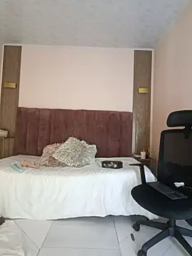 Jein_Palaciosn Webbikameraesitys