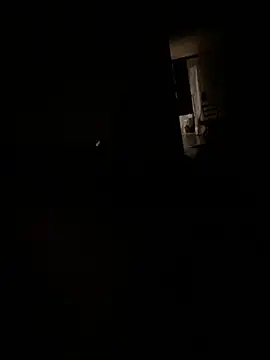 NiftyCaptain3's Webcam Show
