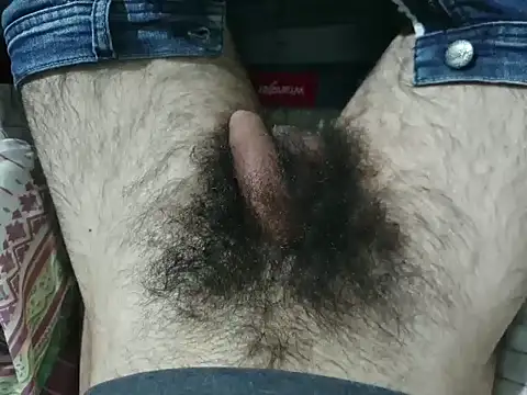 Show de webcam de bomvemcam