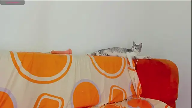 Živý XXX chat moana_taylor
